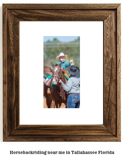 horseback riding near me in Tallahassee, Florida